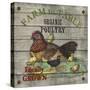 JP2630_Farm to Table-Poultry-Jean Plout-Stretched Canvas