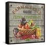 JP2632_Farm to Table-Fresh Vegetables-Jean Plout-Framed Stretched Canvas