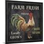 JP2634_Farm Fresh Rooster-Jean Plout-Mounted Giclee Print
