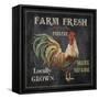 JP2634_Farm Fresh Rooster-Jean Plout-Framed Stretched Canvas