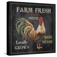 JP2634_Farm Fresh Rooster-Jean Plout-Stretched Canvas