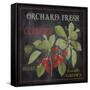 JP2639_Orchard Fresh Cherries-Jean Plout-Framed Stretched Canvas