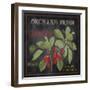 JP2639_Orchard Fresh Cherries-Jean Plout-Framed Giclee Print