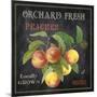 JP2640_Orchard Fresh Peaches-Jean Plout-Mounted Giclee Print