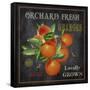 JP2641_Orchard Fresh Oranges-Jean Plout-Framed Stretched Canvas