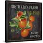 JP2641_Orchard Fresh Oranges-Jean Plout-Stretched Canvas