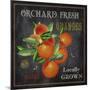JP2641_Orchard Fresh Oranges-Jean Plout-Mounted Giclee Print