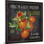 JP2641_Orchard Fresh Oranges-Jean Plout-Mounted Giclee Print