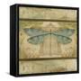 JP2873_Dragonfly Among The Ferns-Jean Plout-Framed Stretched Canvas