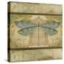 JP2873_Dragonfly Among The Ferns-Jean Plout-Stretched Canvas