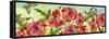 JP3010-Bouquet De Fleur-Jean Plout-Framed Stretched Canvas