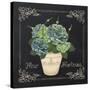 JP3019-Fleur Hortensia-Jean Plout-Stretched Canvas