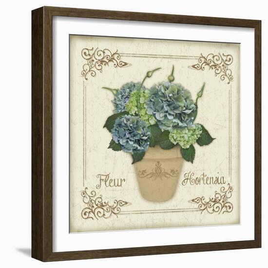 JP3020-Fleur Hortensia-Jean Plout-Framed Giclee Print