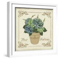 JP3020-Fleur Hortensia-Jean Plout-Framed Giclee Print