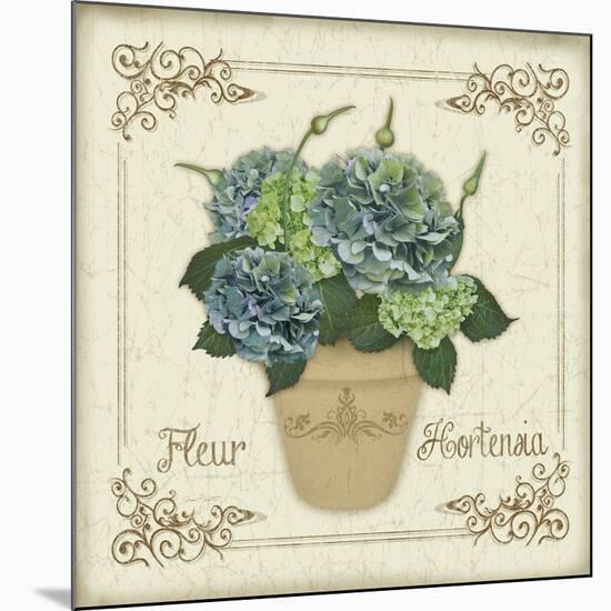 JP3020-Fleur Hortensia-Jean Plout-Mounted Giclee Print