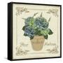 JP3020-Fleur Hortensia-Jean Plout-Framed Stretched Canvas