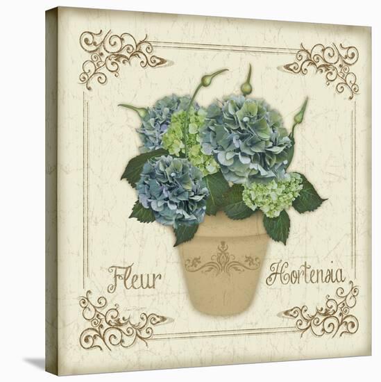 JP3020-Fleur Hortensia-Jean Plout-Stretched Canvas