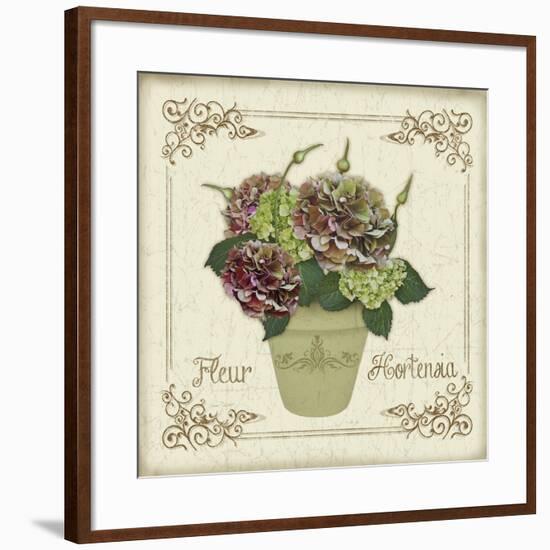 JP3022-Fleur Hortensia-Jean Plout-Framed Giclee Print