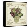 JP3022-Fleur Hortensia-Jean Plout-Framed Stretched Canvas