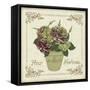 JP3022-Fleur Hortensia-Jean Plout-Framed Stretched Canvas