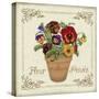 JP3024-Fleur Pensee-Jean Plout-Stretched Canvas