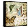 JP3076-Inspirational Butterflies-Jean Plout-Framed Stretched Canvas