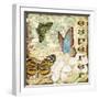 JP3076-Inspirational Butterflies-Jean Plout-Framed Giclee Print