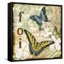 JP3077-Inspirational Butterflies-Jean Plout-Framed Stretched Canvas