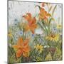 JP3252-Wildflowers-Jean Plout-Mounted Giclee Print