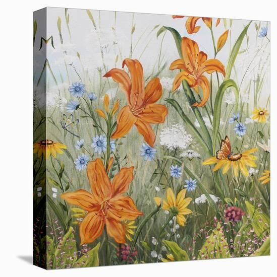 JP3252-Wildflowers-Jean Plout-Stretched Canvas