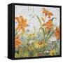 JP3253-Wildflowers-Jean Plout-Framed Stretched Canvas