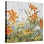 JP3253-Wildflowers-Jean Plout-Stretched Canvas