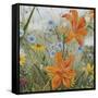 JP3255-Wildflowers-Jean Plout-Framed Stretched Canvas