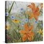 JP3255-Wildflowers-Jean Plout-Stretched Canvas