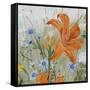 JP3256-Wildflowers-Jean Plout-Framed Stretched Canvas