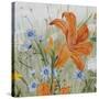 JP3256-Wildflowers-Jean Plout-Stretched Canvas