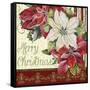 JP3292-Merry Christmas-Jean Plout-Framed Stretched Canvas