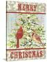 JP3304-Christmas Birds-Jean Plout-Stretched Canvas