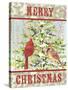 JP3304-Christmas Birds-Jean Plout-Stretched Canvas