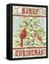 JP3304-Christmas Birds-Jean Plout-Framed Stretched Canvas