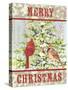 JP3304-Christmas Birds-Jean Plout-Stretched Canvas