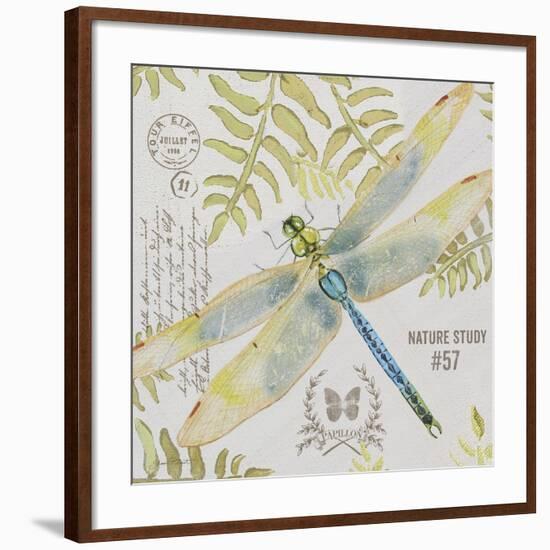 JP3418-Botanical Dragonfly-Jean Plout-Framed Giclee Print