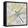 JP3418-Botanical Dragonfly-Jean Plout-Framed Stretched Canvas