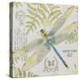 JP3418-Botanical Dragonfly-Jean Plout-Stretched Canvas