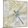 JP3418-Botanical Dragonfly-Jean Plout-Mounted Giclee Print