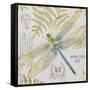 JP3418-Botanical Dragonfly-Jean Plout-Framed Stretched Canvas