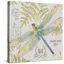 JP3418-Botanical Dragonfly-Jean Plout-Stretched Canvas