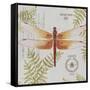 JP3419-Botanical Dragonfly-Jean Plout-Framed Stretched Canvas