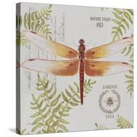 JP3419-Botanical Dragonfly-Jean Plout-Stretched Canvas