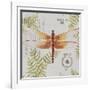 JP3419-Botanical Dragonfly-Jean Plout-Framed Giclee Print
